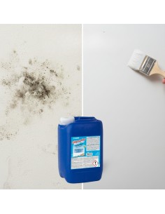 Mapei SILANCOLOR CLEANER PLUS Trattamento Antimuffa Per Superfici 5 Kg 2