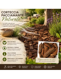 Corteccia Pacciamante Naturale Profumo di Bosco Per Giardini 60 L 2