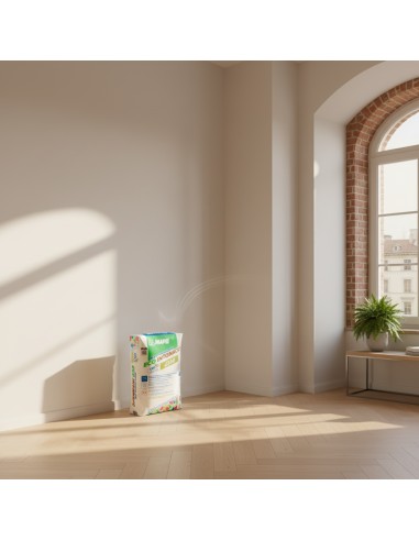 MAPEI Mape-Antique Nhl ECO INTONACO Di Fondo Traspirante Per Murature 25 Kg