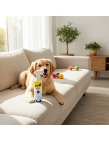 CAMP Oloff  500 ml Elimina Odori Istantaneo Per Superfici E Tessuti  