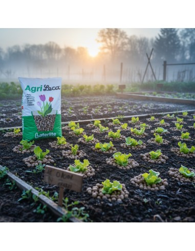 Argilla Espansa Agrileca Per Giardini Pensili E Ortoflorovivaismo 50 L