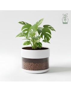 Argilla Espansa Leggera Per Piante 50 L 8-20 mm Pezzi 4 2