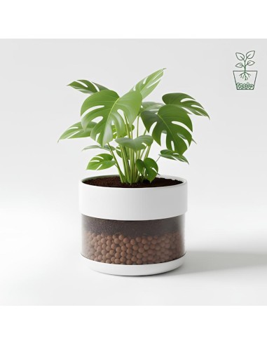 Argilla Espansa Leggera Per Piante 50 L 8-20 mm 