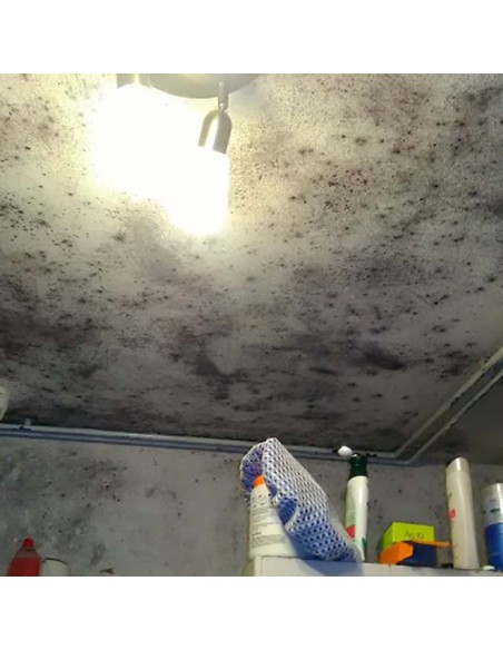 Additivo Antimuffa Antialga Idropitture Protezione Muri Casa Fresca ml 200