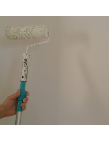 Additivo Antimuffa Antialga Idropitture Protezione Muri Casa Fresca ml 200