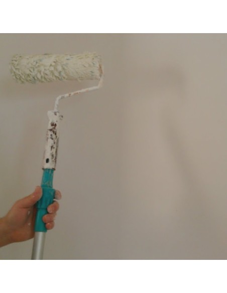 Additivo Antimuffa Antialga Idropitture Protezione Muri Casa Fresca ml 200