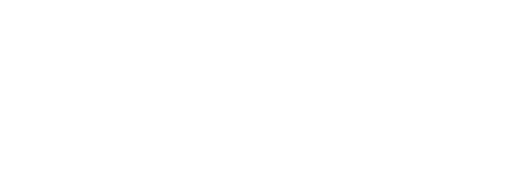 mapei logo