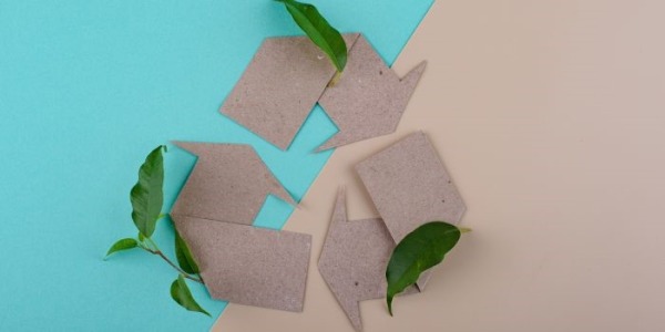 Il nostro Packaging Sostenibile: Le Soluzioni Eco-Friendly per un Futuro più Verde