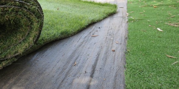 Come Pavimentare il Tuo Spazio Esterno con Prato Sintetico: Guida Completa