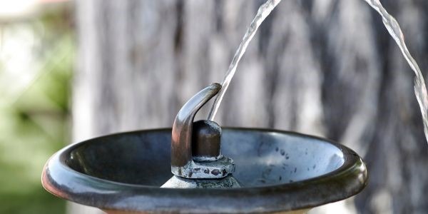 Che Tipo di Fontana da Giardino Fa per Te?