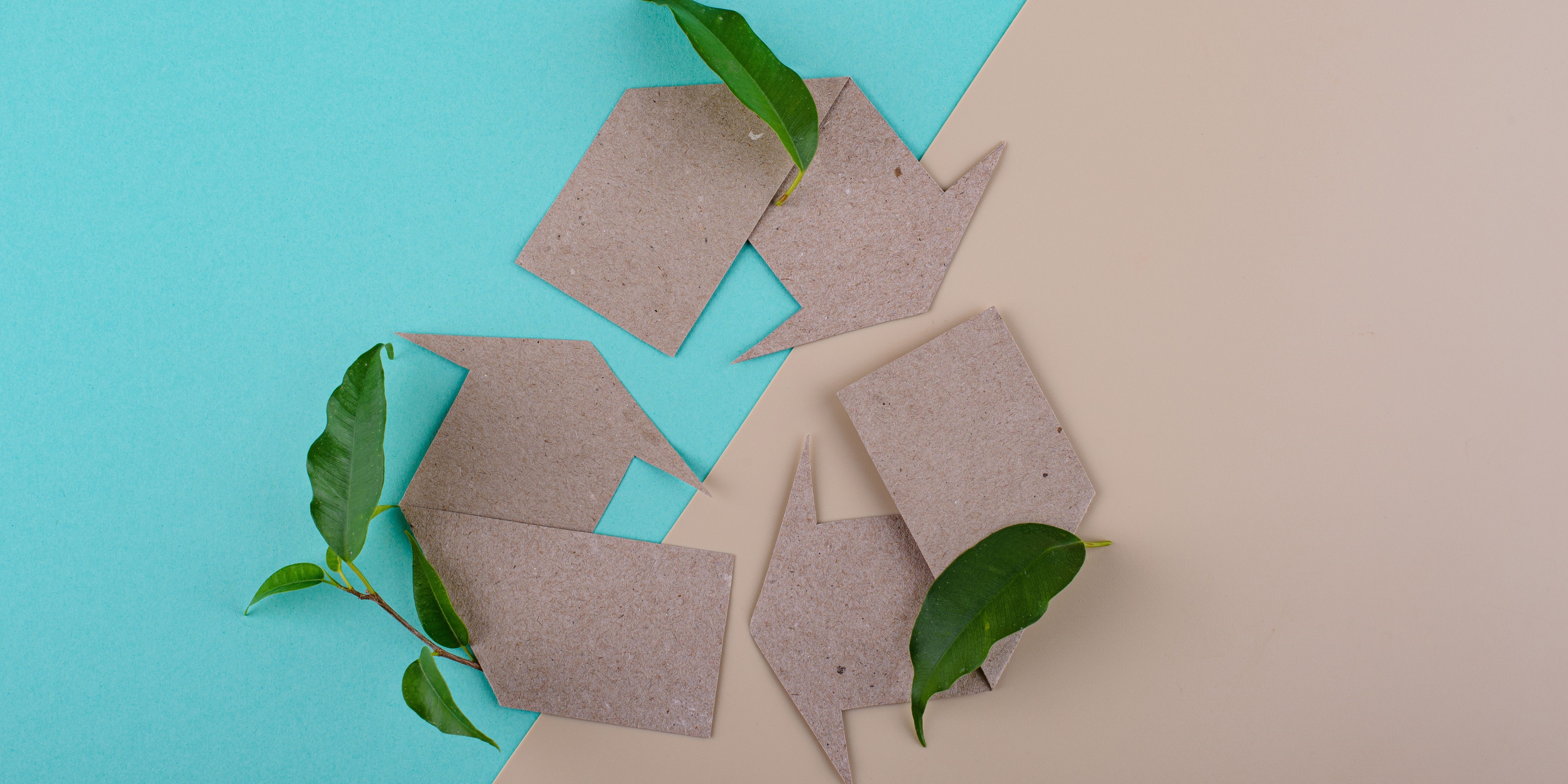 Il nostro Packaging Sostenibile: Le Soluzioni Eco-Friendly per un Futuro più Verde